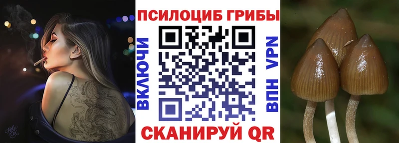 даркнет формула  Любим  Галлюциногенные грибы ЛСД 